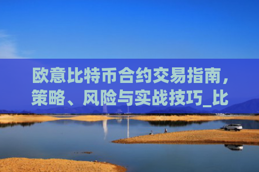 欧意比特币合约交易指南,策略、风险与实战技巧_比特币欧元交易所