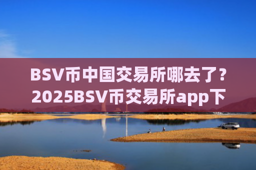 BSV币中国交易所哪去了？2025BSV币交易所app下载排名