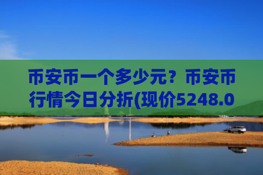 币安币一个多少元？币安币行情今日分折(现价5248.05元)