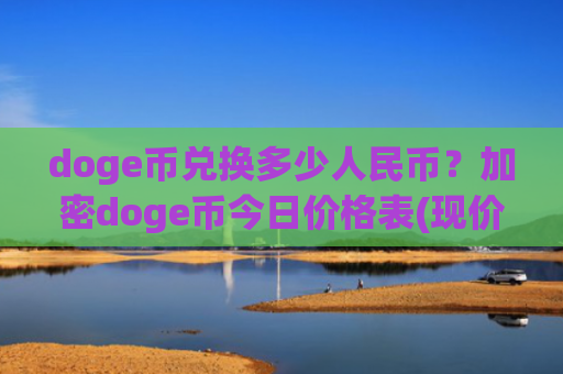 doge币兑换多少人民币？加密doge币今日价格表(现价2.8936元)