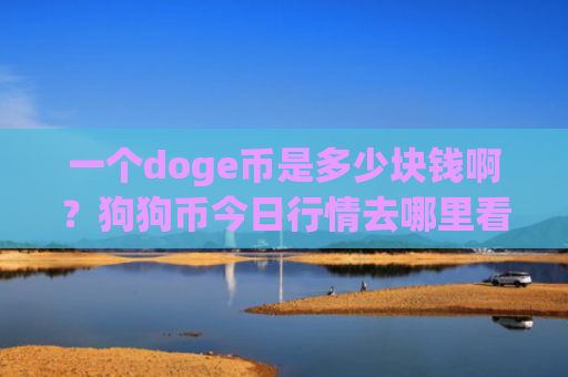 一个doge币是多少块钱啊？狗狗币今日行情去哪里看(现价2.8987元)