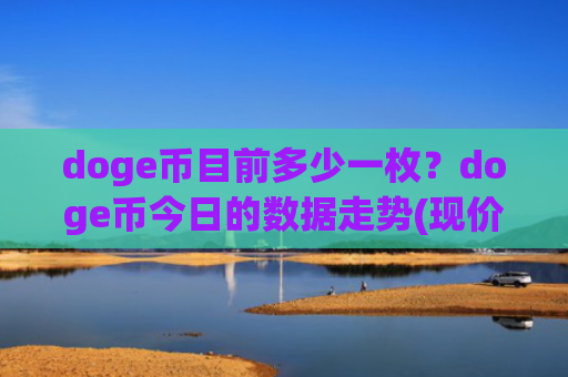 doge币目前多少一枚？doge币今日的数据走势(现价2.9038元)