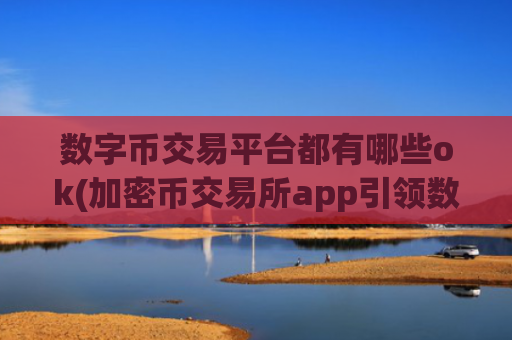 数字币交易平台都有哪些ok(加密币交易所app引领数字金融)