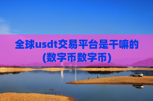 全球usdt交易平台是干嘛的(数字币数字币)