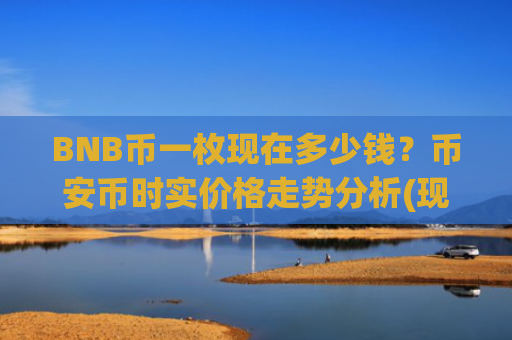 BNB币一枚现在多少钱？币安币时实价格走势分析(现价5262.91元)