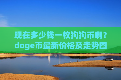 现在多少钱一枚狗狗币啊？doge币最新价格及走势图(现价2.9087元)