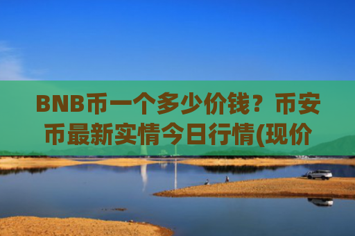 BNB币一个多少价钱？币安币最新实情今日行情(现价5125.55元)