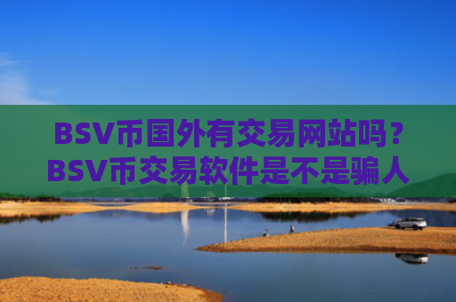 BSV币国外有交易网站吗？BSV币交易软件是不是骗人的