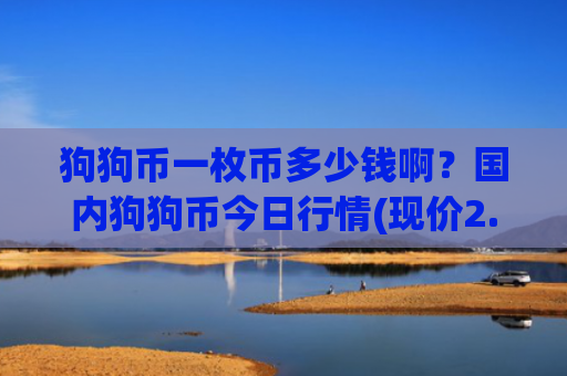 狗狗币一枚币多少钱啊?国内狗狗币今日行情(现价2.8735元)