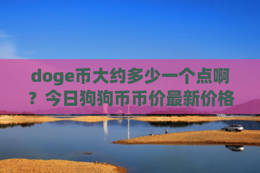 doge币大约多少一个点啊？今日狗狗币币价最新价格(现价2.9046元)