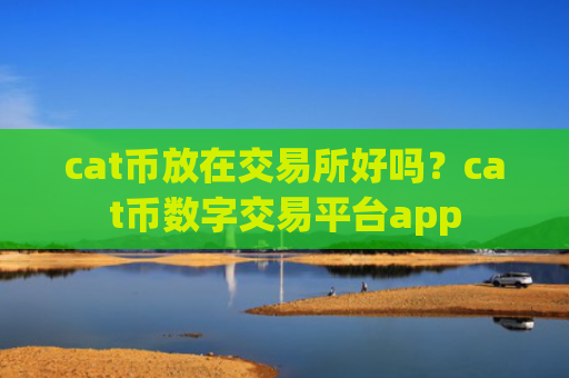 cat币放在交易所好吗？cat币数字交易平台app