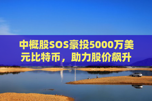 中概股SOS豪投5000万美元比特币，助力股价飙升