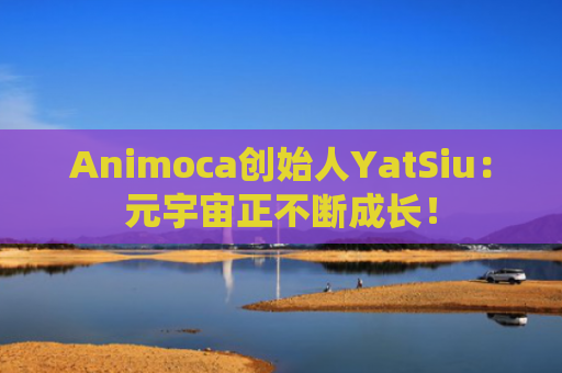 Animoca创始人YatSiu：元宇宙正不断成长！