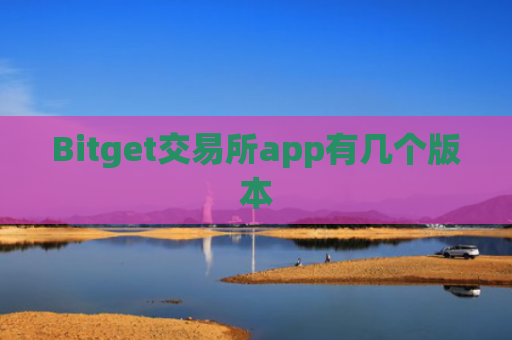 Bitget交易所app有几个版本
