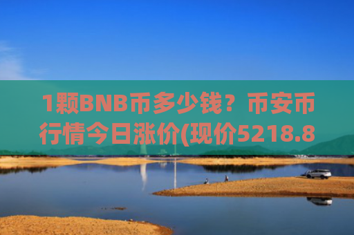 1颗BNB币多少钱？币安币行情今日涨价(现价5218.88元)