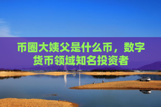 币圈大姨父是什么币，数字货币领域知名投资者