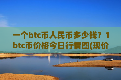 一个btc币人民币多少钱？1btc币价格今日行情图(现价737856.08元)