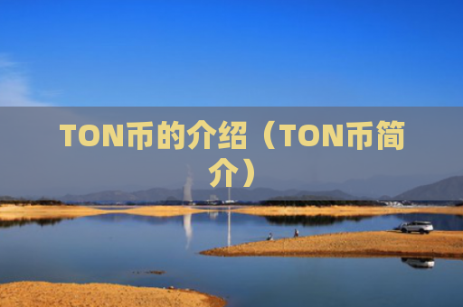 TON币的介绍（TON币简介）