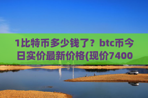 1比特币多少钱了？btc币今日实价最新价格(现价740028.97元)