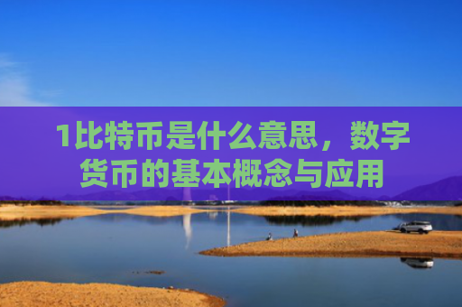 1比特币是什么意思，数字货币的基本概念与应用