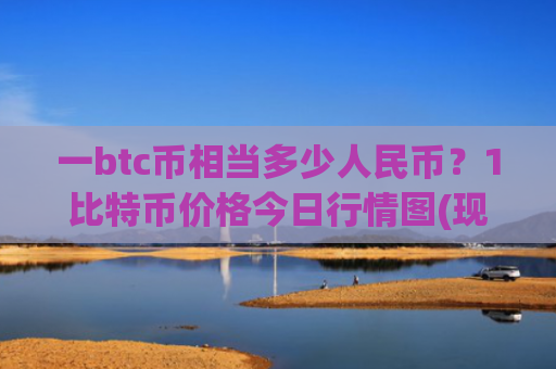 一btc币相当多少人民币？1比特币价格今日行情图(现价738950.29元)