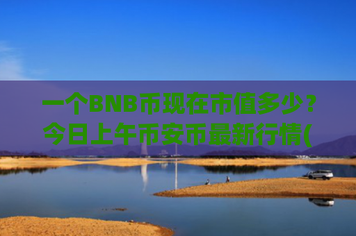 一个BNB币现在市值多少？今日上午币安币最新行情(现价5229.5元)