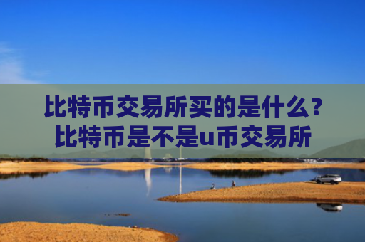 比特币交易所买的是什么？比特币是不是u币交易所