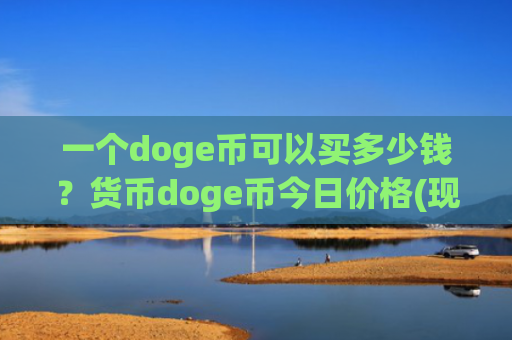 一个doge币可以买多少钱？货币doge币今日价格(现价2.9164元)