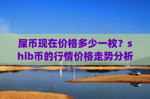 屎币现在价格多少一枚？shib币的行情价格走势分析(现价0.00020328元)