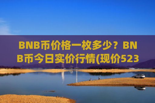 BNB币价格一枚多少?BNB币今日实价行情(现价5239.76元)