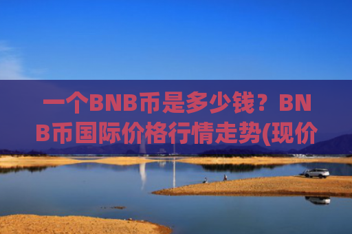 一个BNB币是多少钱?BNB币国际价格行情走势(现价5243.25元)
