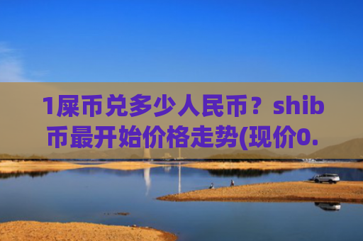 1屎币兑多少人民币？shib币最开始价格走势(现价0.00020459元)