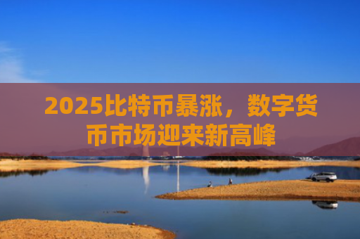 2025比特币暴涨，数字货币市场迎来新高峰