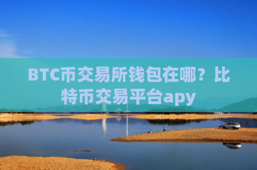 BTC币交易所钱包在哪？比特币交易平台apy