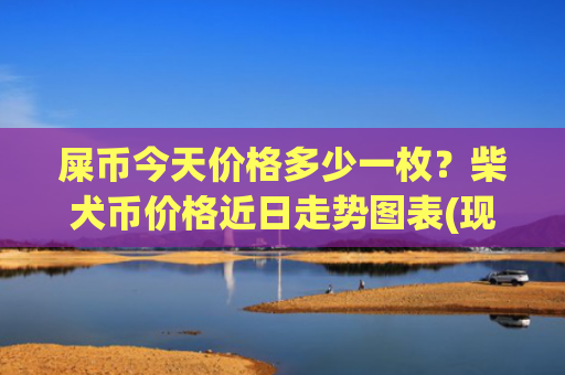 屎币今天价格多少一枚？柴犬币价格近日走势图表(现价0.00020488元)
