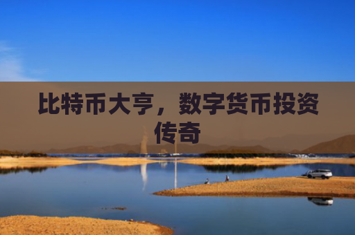 比特币大亨，数字货币投资传奇