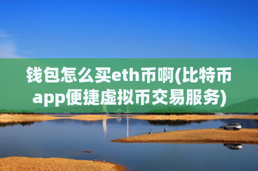 钱包怎么买eth币啊(比特币app便捷虚拟币交易服务)