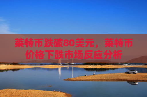 莱特币跌破80美元，莱特币价格下跌市场反应分析