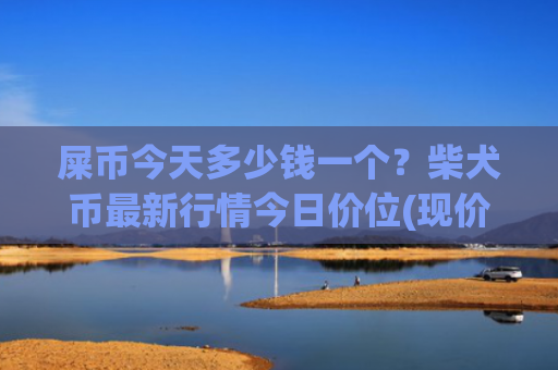 屎币今天多少钱一个？柴犬币最新行情今日价位(现价0.00020242元)