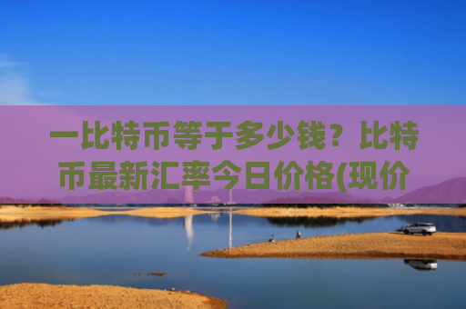 一比特币等于多少钱？比特币最新汇率今日价格(现价727654.45元)