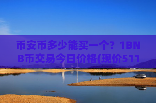 币安币多少能买一个？1BNB币交易今日价格(现价5116.56元)