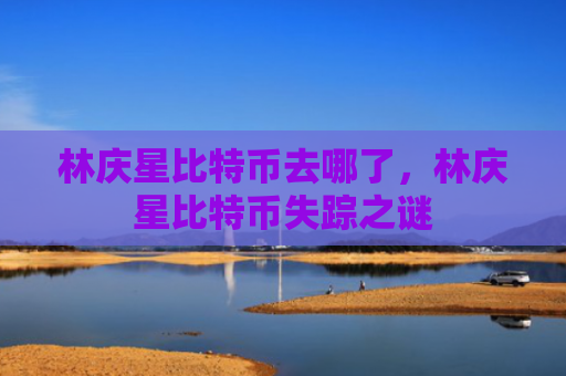 林庆星比特币去哪了，林庆星比特币失踪之谜