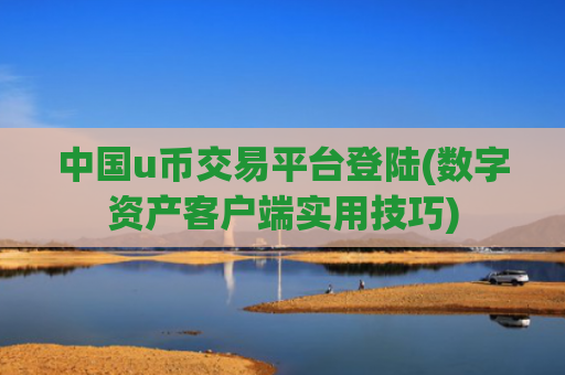 中国u币交易平台登陆(数字资产客户端实用技巧)