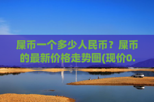 屎币一个多少人民币？屎币的最新价格走势图(现价0.00020229元)