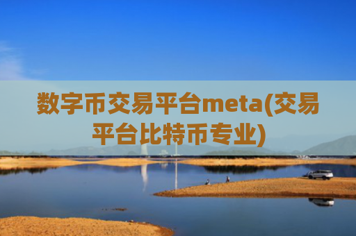数字币交易平台meta(交易平台比特币专业)