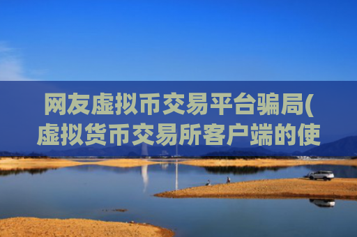 网友虚拟币交易平台骗局(虚拟货币交易所客户端的使用体验)
