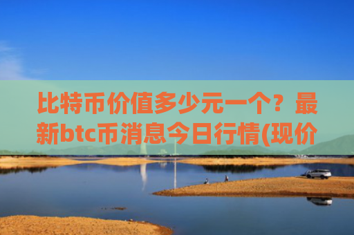 比特币价值多少元一个？最新btc币消息今日行情(现价729143.15元)