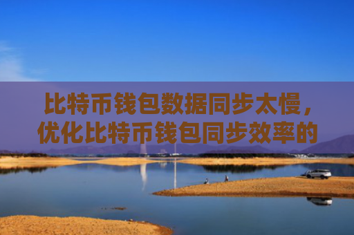 比特币钱包数据同步太慢，优化比特币钱包同步效率的策略