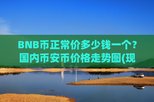 BNB币正常价多少钱一个？国内币安币价格走势图(现价5112.87元)