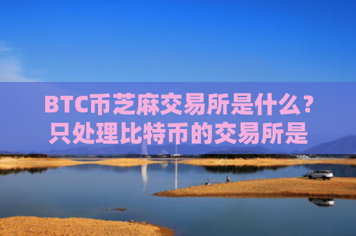 BTC币芝麻交易所是什么?只处理比特币的交易所是